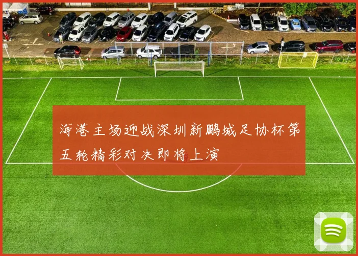 海港主场迎战深圳新鹏城足协杯第五轮精彩对决即将上演