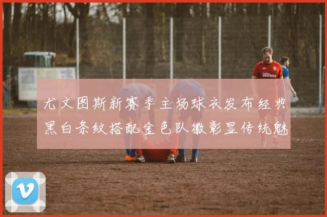 尤文图斯新赛季主场球衣发布经典黑白条纹搭配金色队徽彰显传统魅力