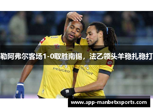 勒阿弗尔客场1-0取胜南锡，法乙领头羊稳扎稳打